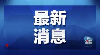 天洲最新爆料消息新闻,揭秘神秘事件背后真相